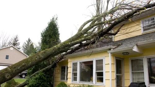 Extreme Weather and Home Damage